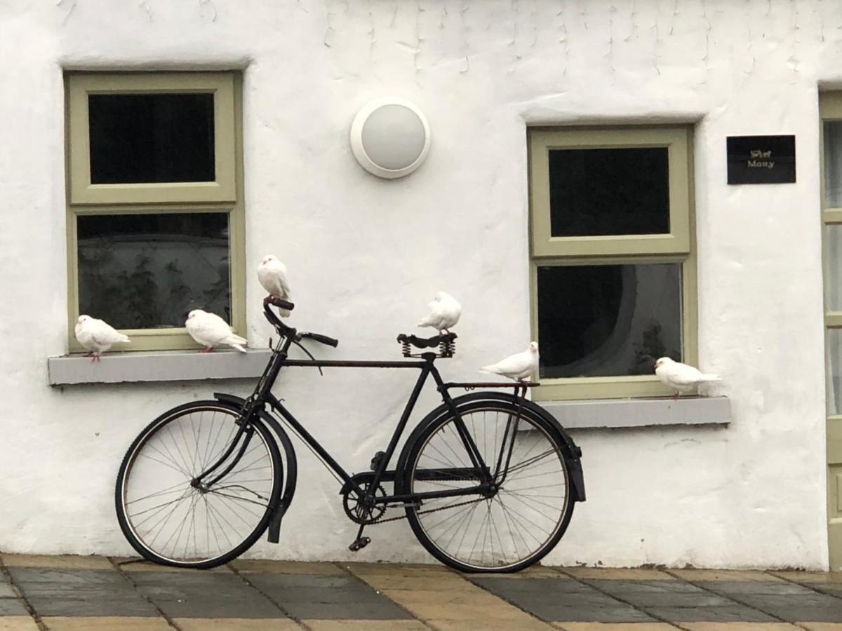 Bed & Breakfast The Carriage At Beechpark House *